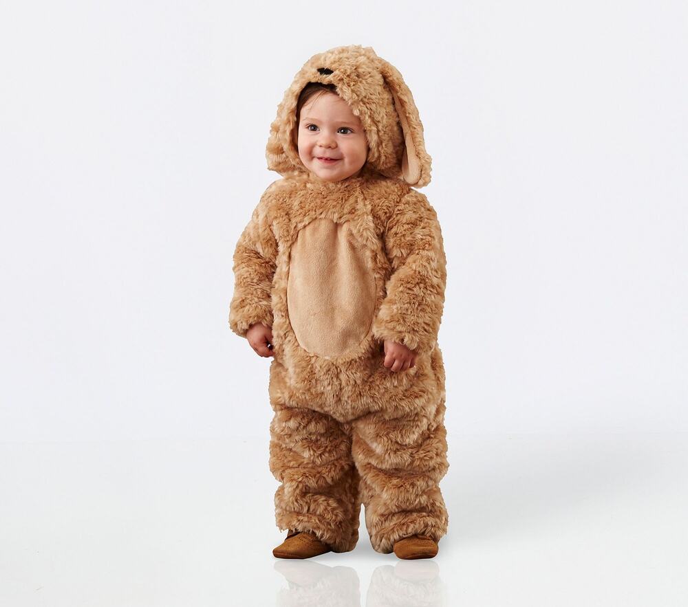 Pottery Barn Kids Baby Labradoodle Dog Halloween Costume 12-24 Months